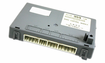 Holden Commodore VY VZ (2004-2006) Body Control Module (BCM) Repair Service
